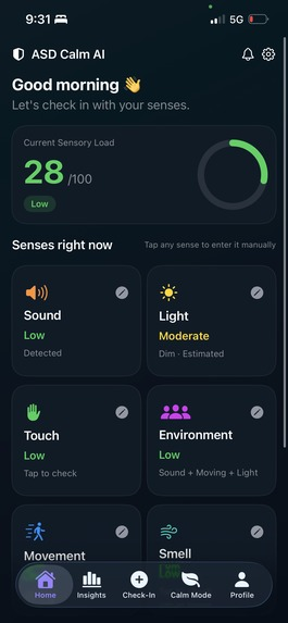ASD Calm AI product experience