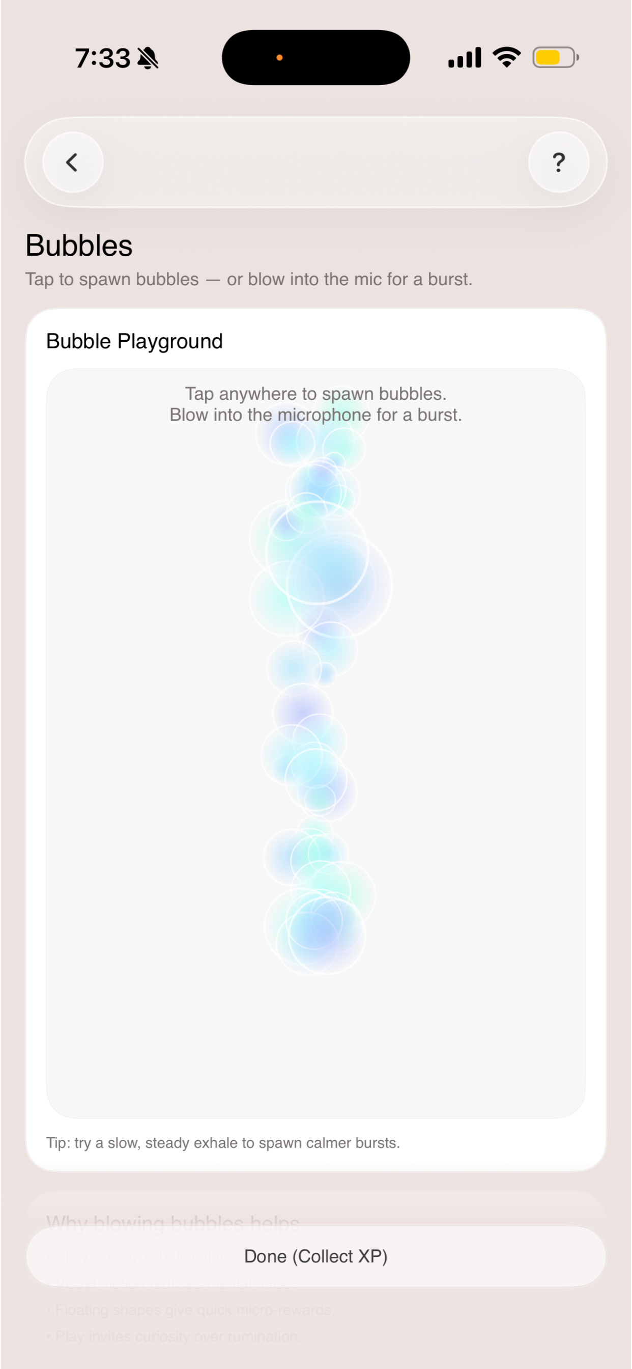 ThoughtsBeCaught product screen 5