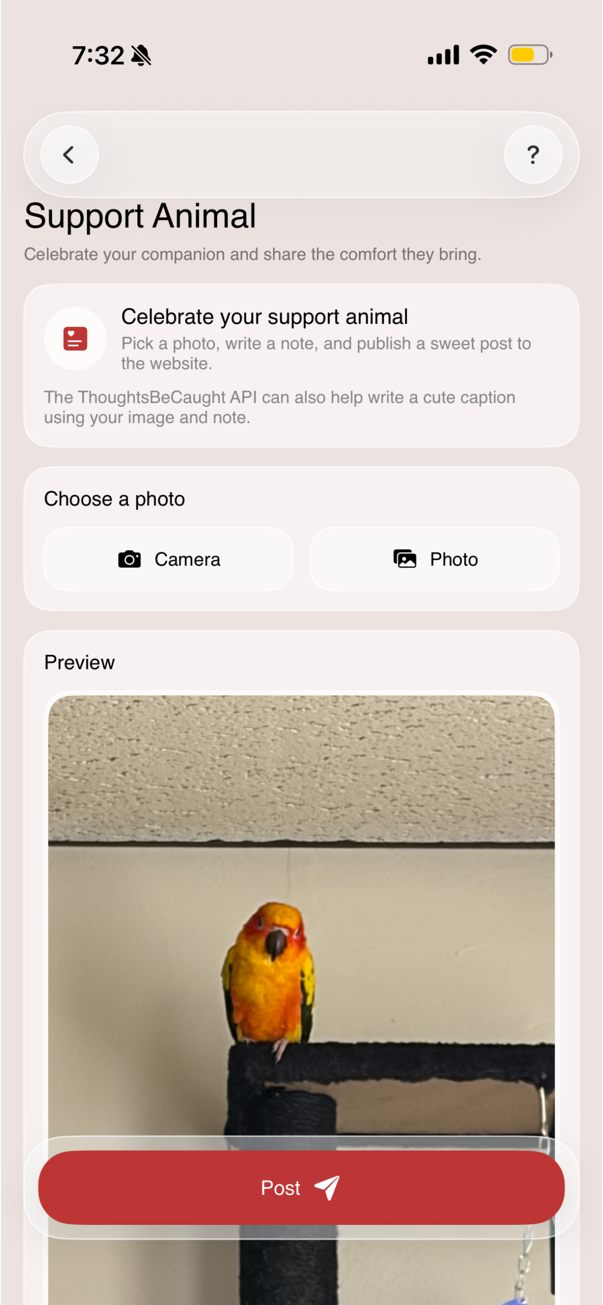 ThoughtsBeCaught product screen 6